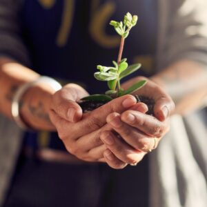 Person holding a growing plant with two hands. 