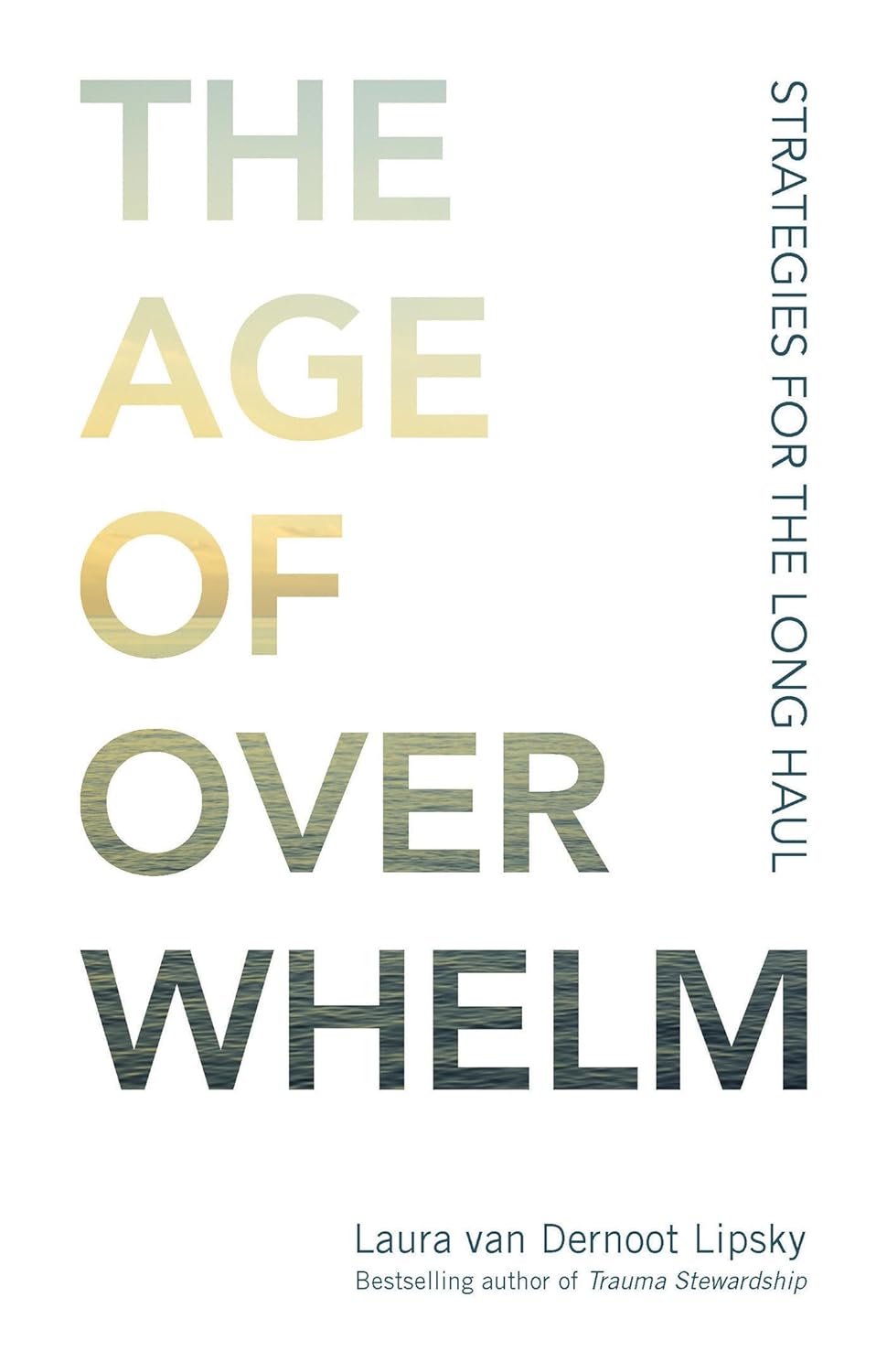 The Age of Overwhelm- Strategies for the Long Haul
