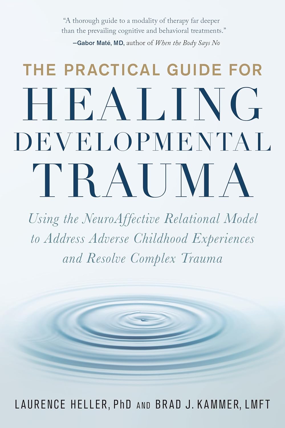 The Practical Guide for Healing Developmental Trauma- Using the NeuroAffective Relational Model to Address Adverse Childhood Experiences and Resolve Complex Trauma