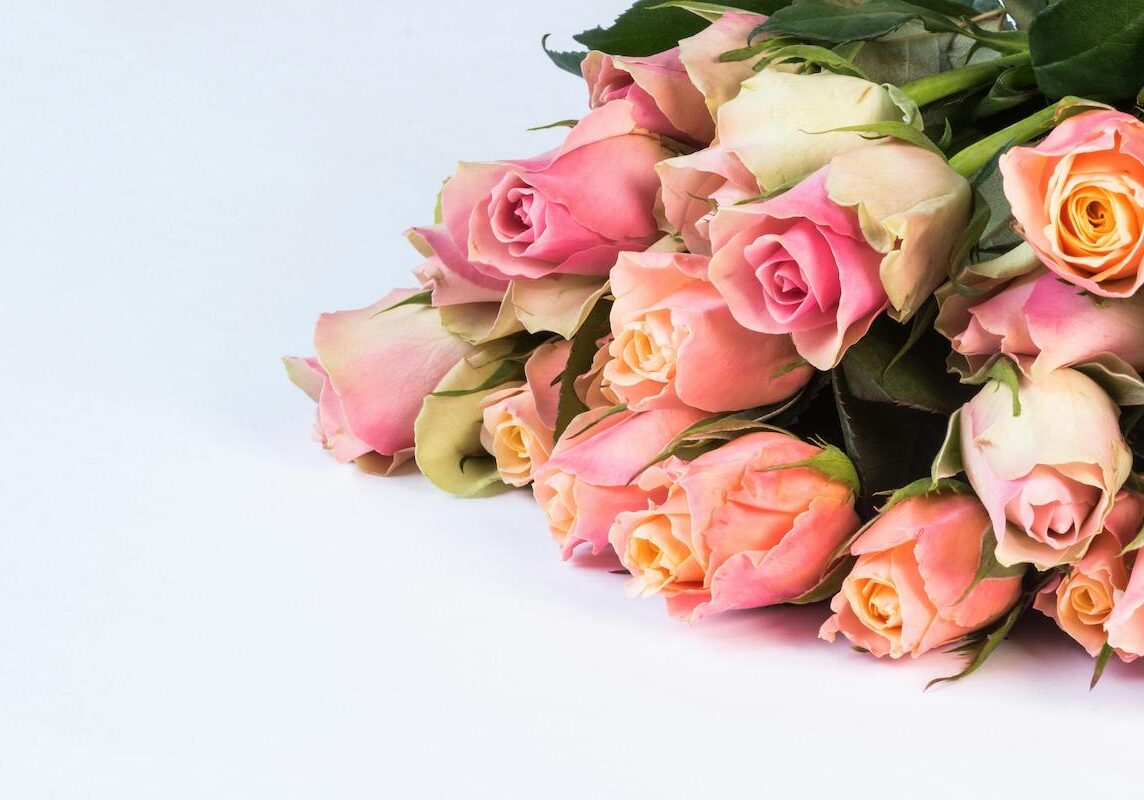 bouquet of pink and white roses laid down